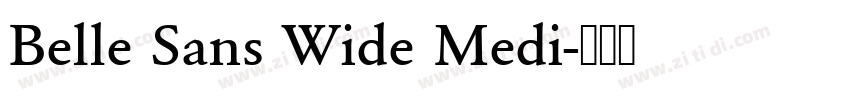 Belle Sans Wide Medi字体转换